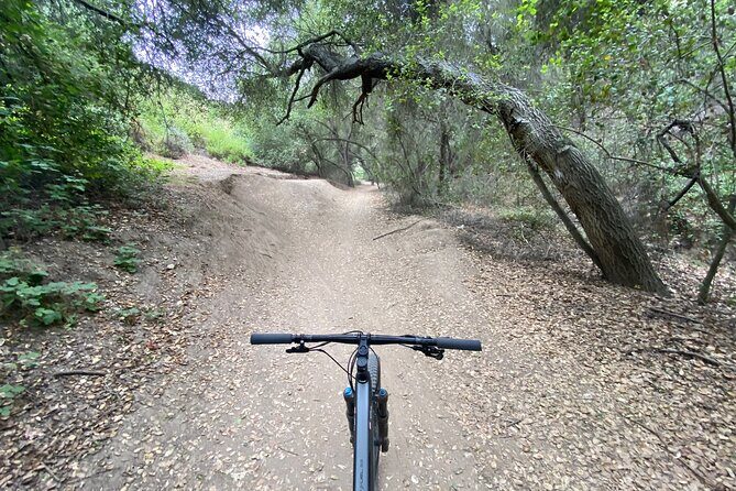 Private Mountain Biking Adventure in San Diego - The Value of this Tour