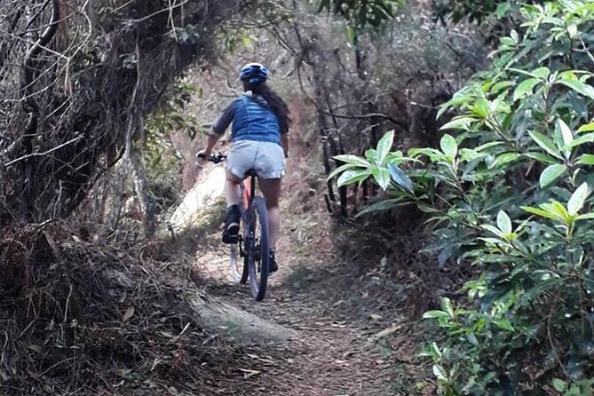 Private Mountain Biking Adventure in Sintra Cascais Park - Who Is This Tour Best Suited For?