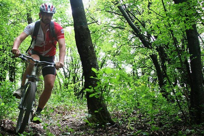Private Mountain Biking in Vitosha from Sofia - What to Expect from the Experience