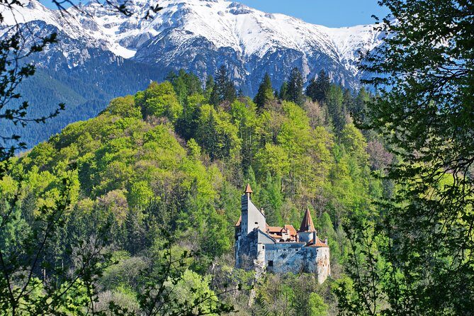 Private Movie Castles at Peles, Cantacuzino and Bran Castle Tour - Key Points