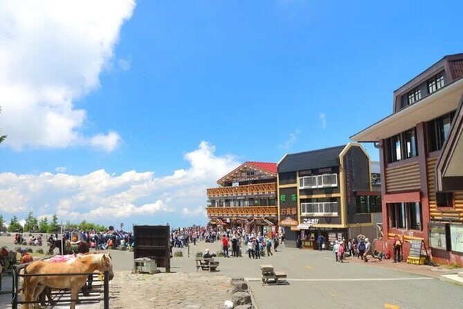 Private Mt Fuji and Hakone Day Tour from Tokyo - FAQ