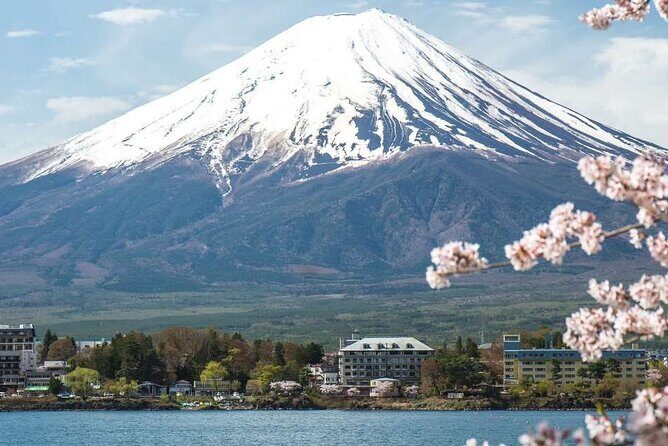 Private Mt. Fuji Custom Tour from Tokyo - Exploring the Highlights: What to Expect