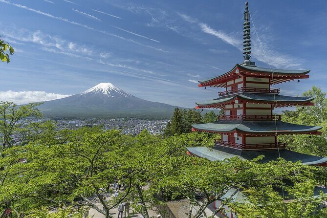 Private Mt Fuji, Hakone and Tokyo Tour - English Speaking Driver - Frequently Asked Questions