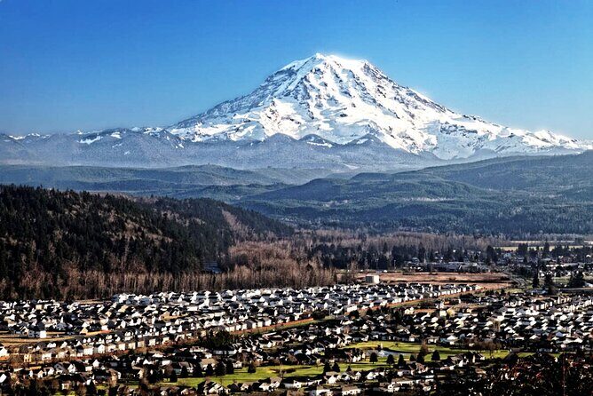Private Mt Rainier National Park Tour in SUV - A Deep Dive into the Experience