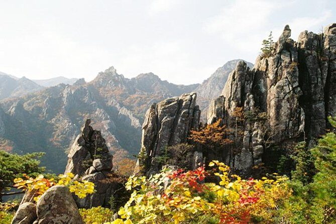 Private Mt.Seorak national park Tour and Sokcho - Key Points