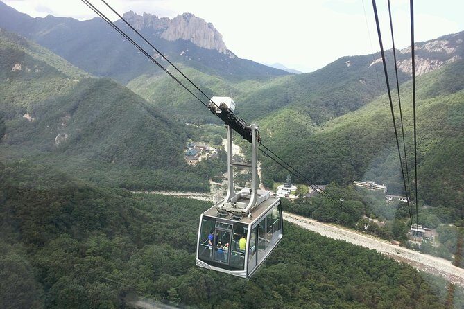 Private Mt.Seorak national park Tour and Sokcho - Food, Comfort, and Practicalities