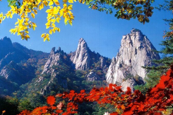 Private Mt.Seorak national park Tour and Sokcho - Who Should Book This Tour?