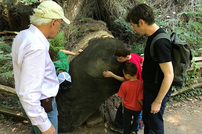 Private Muir Woods and Sausalito Half Day Tour - Who Will Love This Tour?