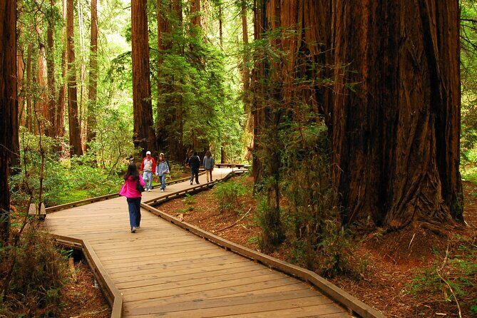 Private Muir Woods, Sausalito, and Marin Headlands Tour - From San Francisco to Sequoias: The Itinerary Breakdown