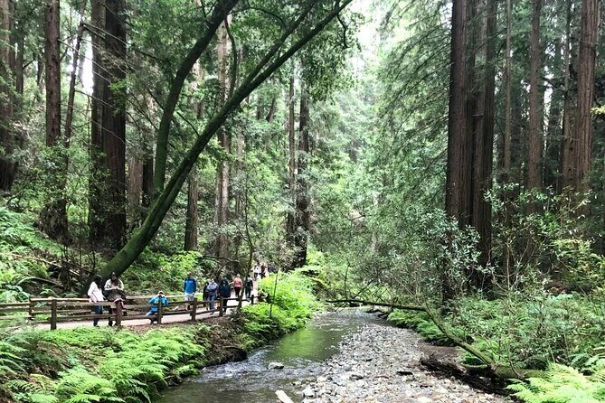 Private Muir Woods, Sausalito, and Marin Headlands Tour - FAQ