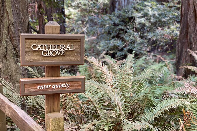 Private Muir Woods Tour Via Luxury Tesla - FAQ