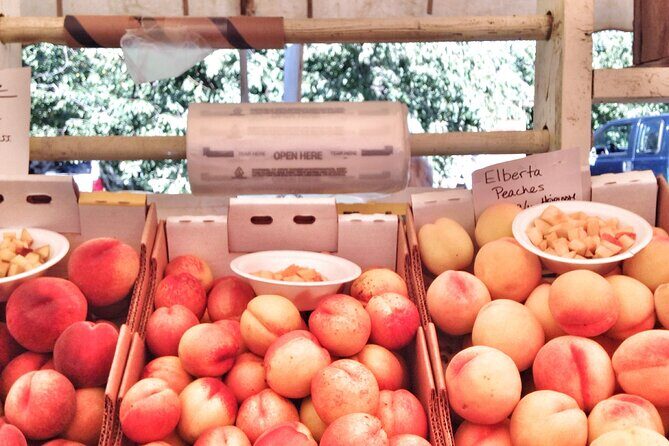 Private Multnomah Falls, Train Ride, & Wine Tour - A Full Breakdown of the Tour Experience