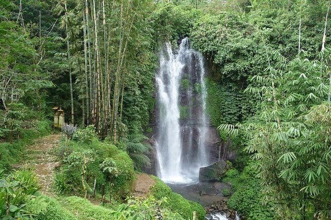 Private Munduk Waterfalls Trekking Tour - A Closer Look at the Munduk Waterfalls Trekking Tour