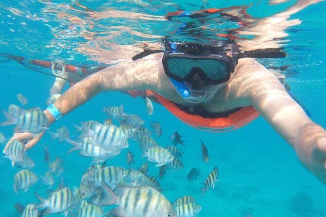 Private MUSA Snorkeling Experience at Isla Mujeres and Cancun - The Sum Up: Who Is This Tour Best For?
