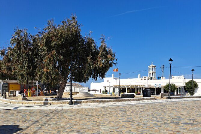 Private Mykonos island sightseeing tour. - Who Will Love This Tour?