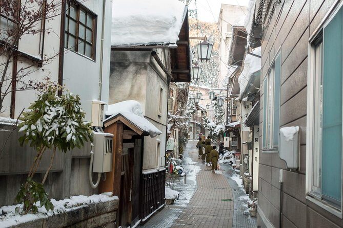 Private Nagano 1-Day Tour:Snow Monkeys,Zenko-ji,Obuse,Sake,Onsen - Key Points