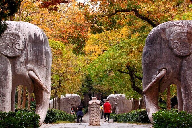 Private Nanjing Historical tour with Fuzimiao food sancks street - Exploring Nanjing: A Deep Dive into the Tour