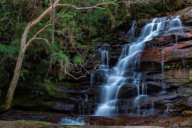 Private Nature Escape Tour 2 Days in Sydney - Final Thoughts