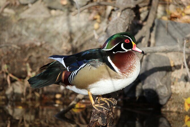 Private Nature Tour for Couples - A Deep Dive into the Experience