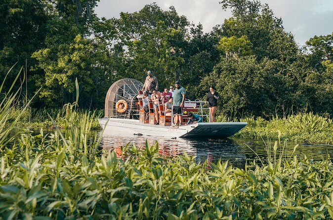 Private New Orleans Airboat Adventure - Wildlife and Scenery: What You’ll See