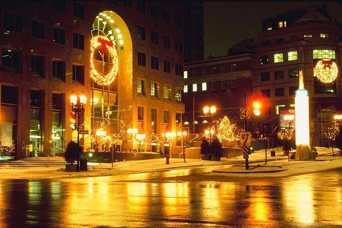 Private New York Christmas Tour with Driver and Guide - Who Would Love This Tour?