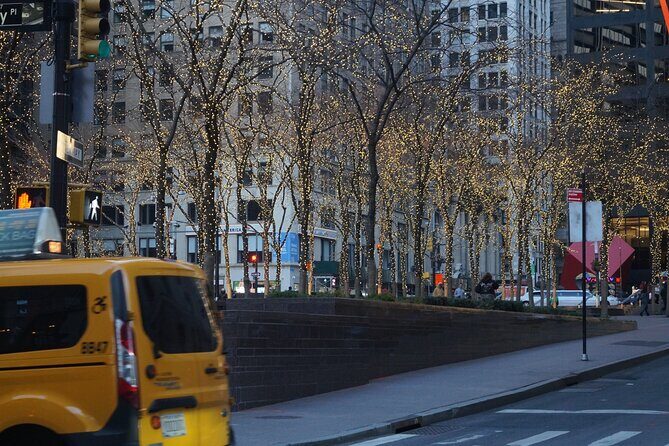 Private New York Downtown Highlights Half Day Tour - A Deep Dive into the Downtown Experience