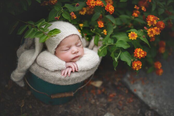 Private Newborn Posing and Photography Mentoring Session - What to Expect During the Full-Day Mentoring Experience