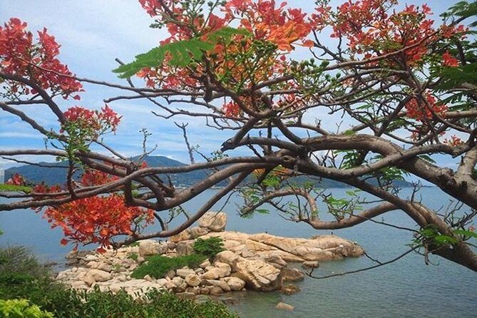 Private Nha Trang city excursion (half day program) - Who Would Love This Tour?
