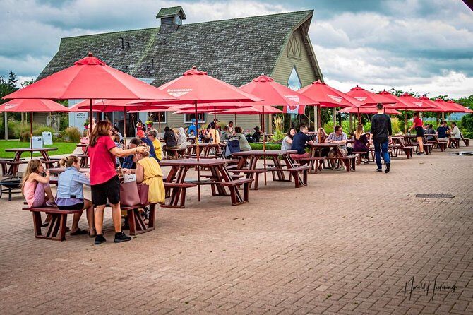 Private Niagara Falls, Niagara-on-the-Lake, Canada - Day Tour with Hotel Pick Up - Final Thoughts