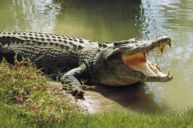 Private : Night Drive in Yala National Park Buffer Zone - FAQ