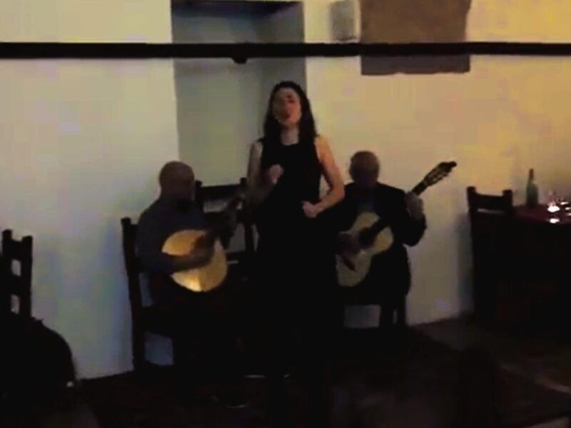 Private night tour, authentic Fado show & Portuguese dinner - The Authentic Fado Experience and Portuguese Dinner
