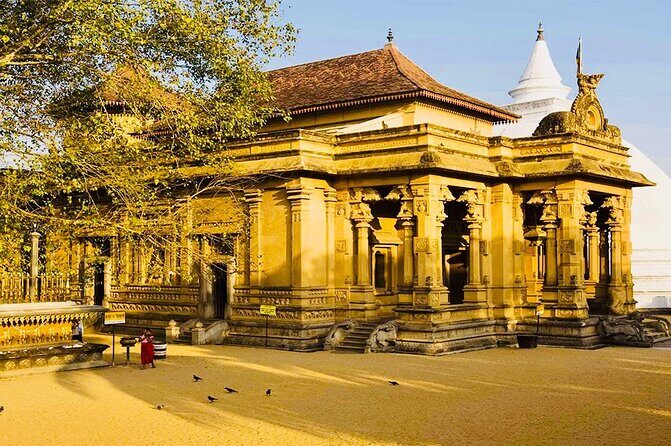 Private Night Tour in Colombo with Street Food Tasting - Final Thoughts