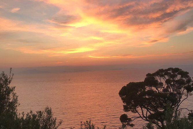 Private Night Transfer Amalfi Coast to Naples. - Authentic Experiences & Practical Tips from Reviewers