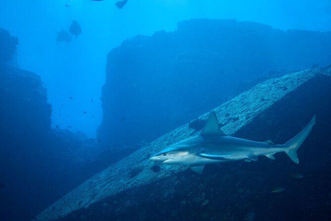 Private Niihau Scuba Charter with 2 or 3 Tank Dive Option - The Sum Up