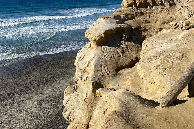 Private North County San Diego Electric Bike and Hike Tour - An In-Depth Look at the North County San Diego Electric Bike and Hike Tour