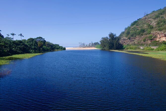Private North Shore Oahu Tour ft. Waimea Falls-Customizable - Lunch at the North Shore Food Trucks