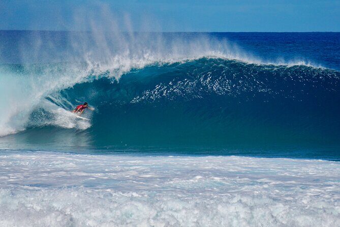 Private North Shore Oahu Tour ft. Waimea Falls-Customizable - Wildlife and Coastal Scenery