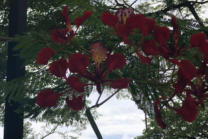 Private North Shore Tour From Waikiki - What We Loved About This Tour