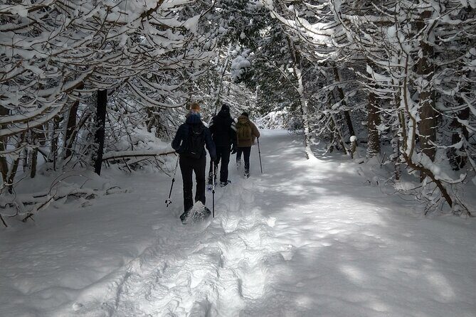 Private Nottawasaga Bluffs Caves Snowshoe, Collingwood/Creemore - Frequently Asked Questions
