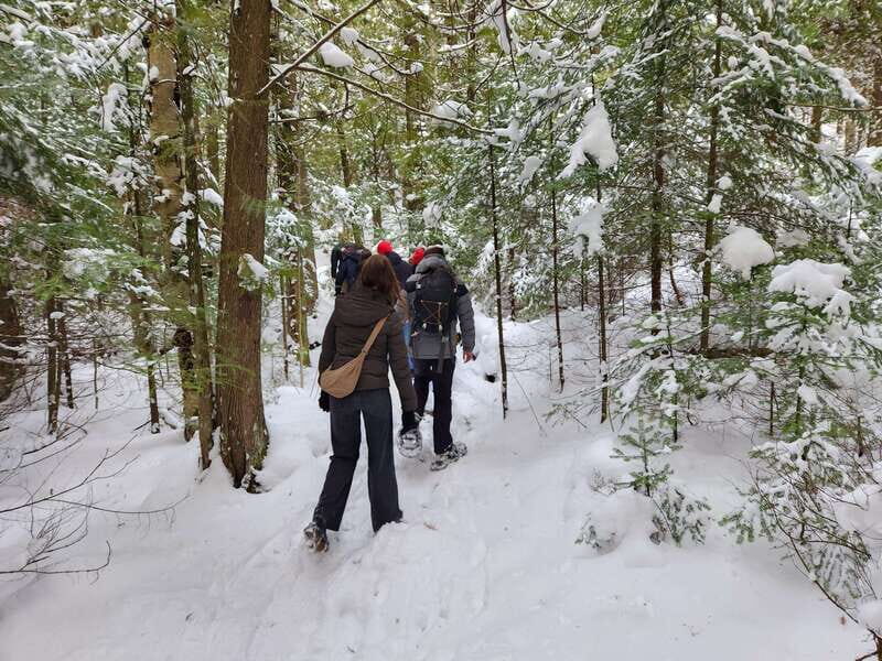 Private Nottawasaga Bluffs Caves Snowshoe-Creemore/Collingwd - Comparing Nottawasaga Bluffs to Other Caves Tours