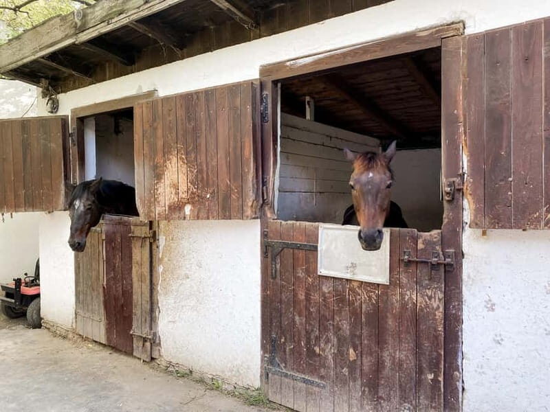 Private Novi Sad, Sremski Karlovci & Farmer's House - Who This Tour Is Perfect For