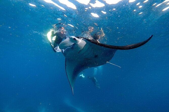 PRIVATE Nusa Penida on Boat Snorkeling & Island Tour (INCLUSIVE) - Key Points
