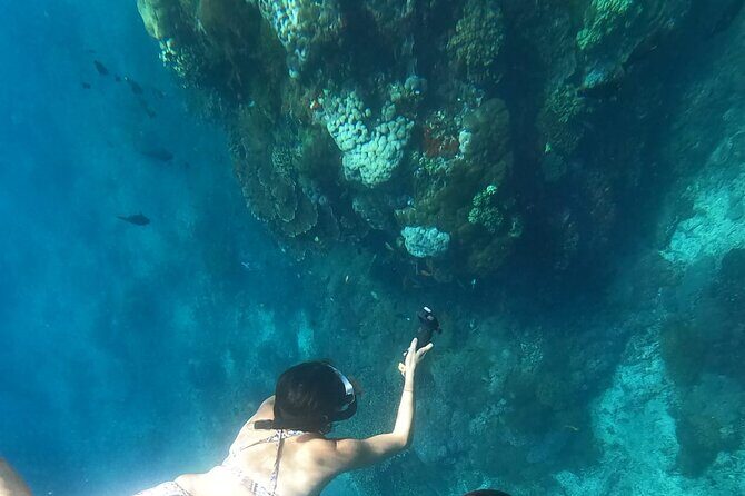 Private Nusa Penida Snorkeling Tour - Practical Tips for Future Travelers