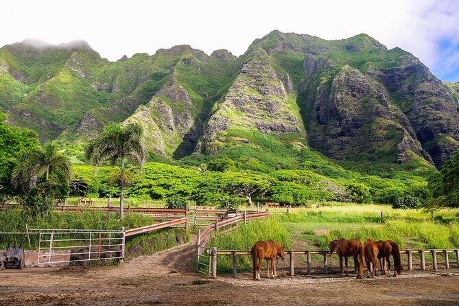 Private Oahu Full Circle Islander Tour with Pickup - Key Points