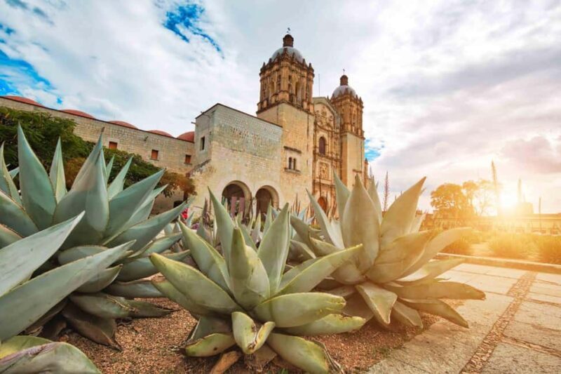 Private Oaxaca Walking Tour with Mezcal Tasting - Who Should Consider This Tour?