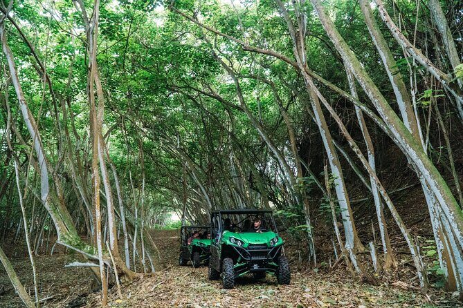 Private Off Road Explorer's Tour - An In-Depth Look at the Tour Experience
