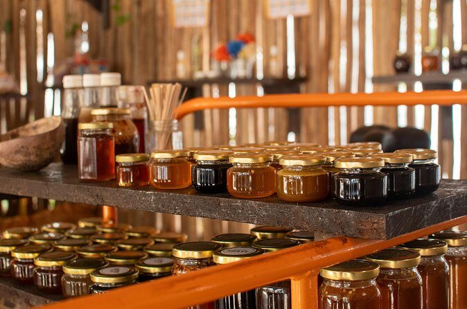 Private Off Road: Punta Sur Eco Park & Snorkeling Adventure - Tastings and Local Flavors