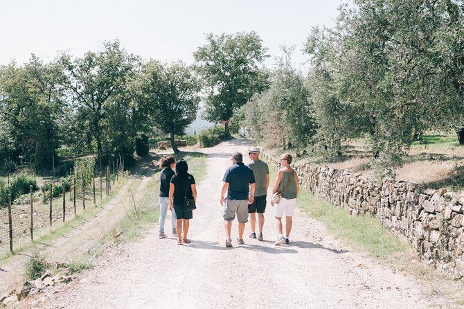 Private Off Road Wine Tour in Chianti from Siena - The Sum Up: Is This Tour Right for You?