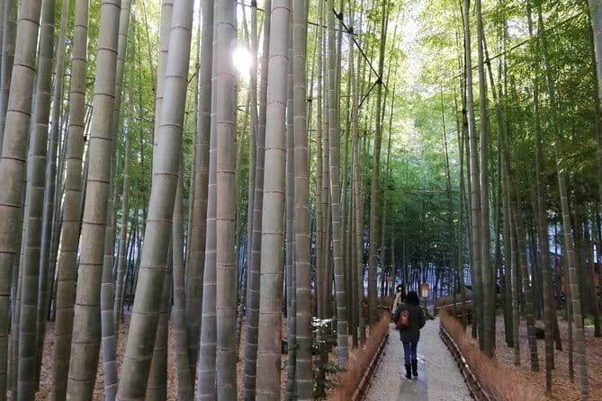 Private Old Temples Guided Tour in Kamakura - Key Points