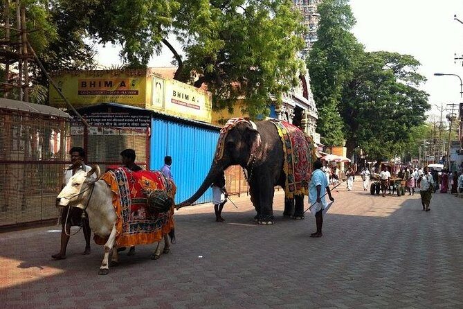 Private Once Upon A Madurai Trail Walking Tour - Key Points